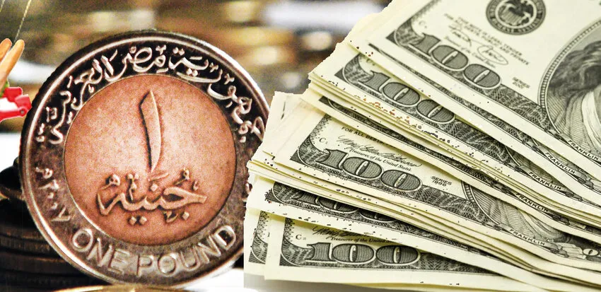 سعر الريال اليوم مقابل الجنيه